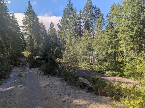 30 Nymark Drive Cougar WA 98616
