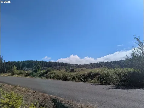 30 Nymark Drive Cougar WA 98616