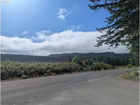 30 Nymark Drive Cougar WA 98616