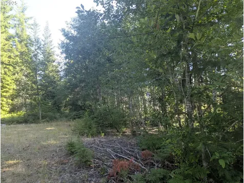 30 Nymark Drive Cougar WA 98616