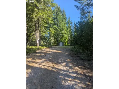 30 Nymark Drive Cougar WA 98616