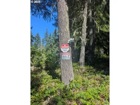 30 Nymark Drive Cougar WA 98616