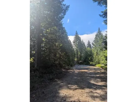 30 Nymark Drive Cougar WA 98616