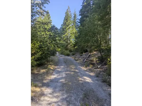 30 Nymark Drive Cougar WA 98616