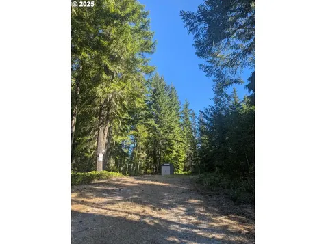30 Nymark Drive Cougar WA 98616