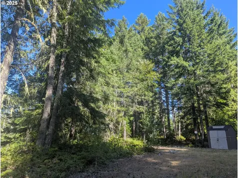30 Nymark Drive Cougar WA 98616