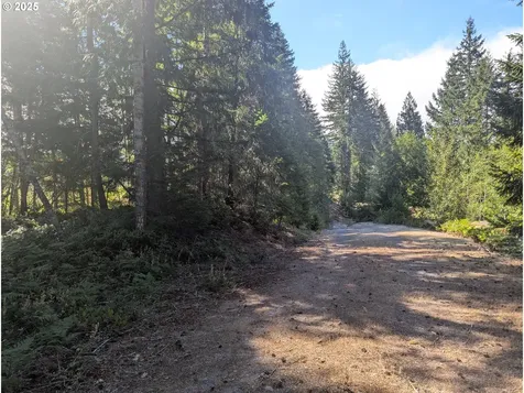 30 Nymark Drive Cougar WA 98616