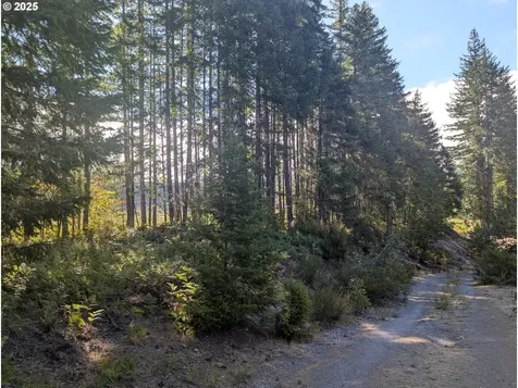 30 Nymark Drive Cougar WA 98616