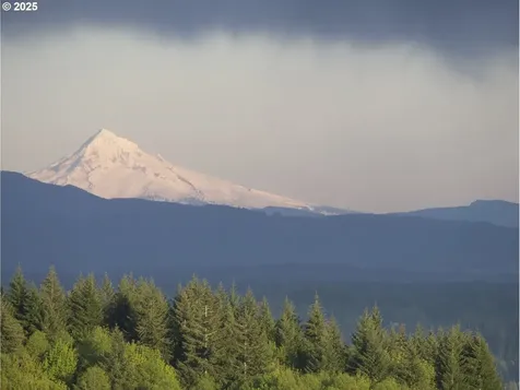 335 Runyan Road Woodland WA 98674
