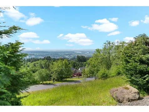 335 Runyan Road Woodland WA 98674