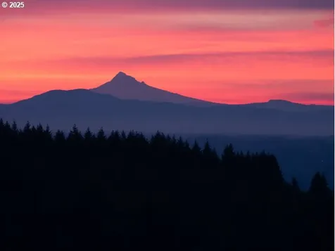 335 Runyan Road Woodland WA 98674