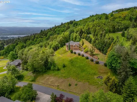 335 Runyan Road Woodland WA 98674