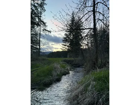 52592 NW Old Wilson River Road Gales Creek OR 97117