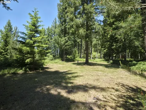 Loowit Lane Cougar WA 98616
