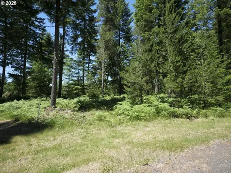 Loowit Lane Cougar WA 98616