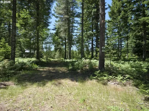 Loowit Lane Cougar WA 98616