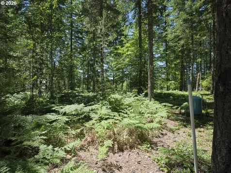 Loowit Lane Cougar WA 98616