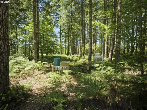 Loowit Lane Cougar WA 98616