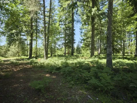 Loowit Lane Cougar WA 98616