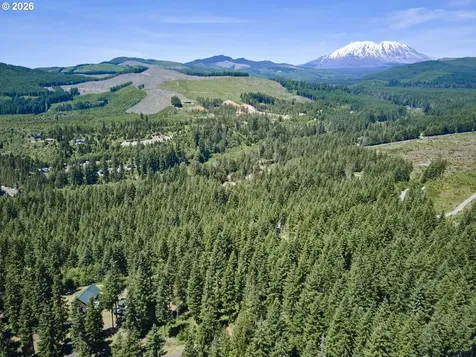 Loowit Lane Cougar WA 98616
