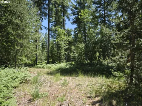 Loowit Lane Cougar WA 98616