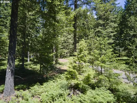 Loowit Lane Cougar WA 98616