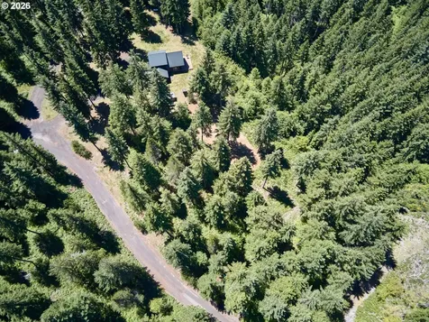 Loowit Lane Cougar WA 98616