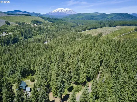 Loowit Lane Cougar WA 98616