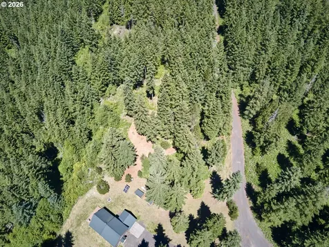 Loowit Lane Cougar WA 98616