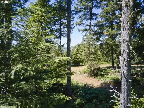 Loowit Lane Cougar WA 98616