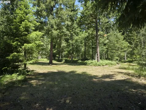 Loowit Lane Cougar WA 98616