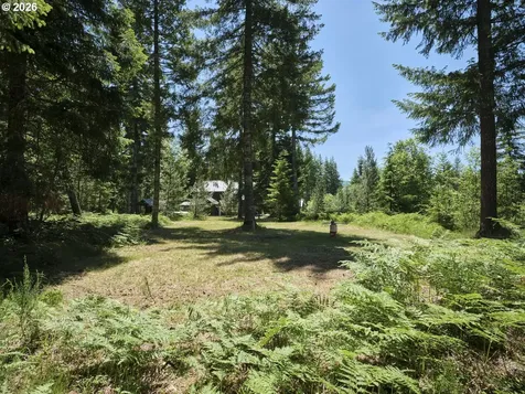 Loowit Lane Cougar WA 98616