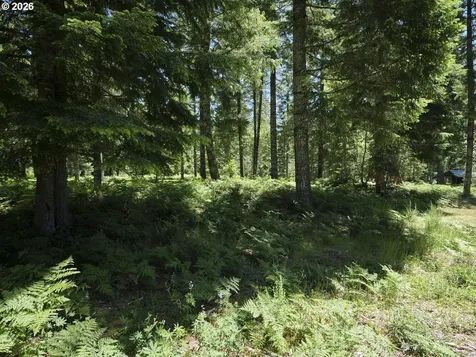 Loowit Lane Cougar WA 98616