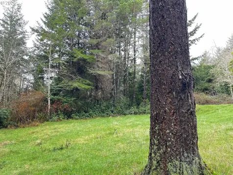 83189 Clear Lake Road Florence OR 97439