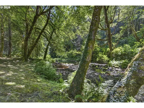 12290 Highway 126 Mapleton OR 97453