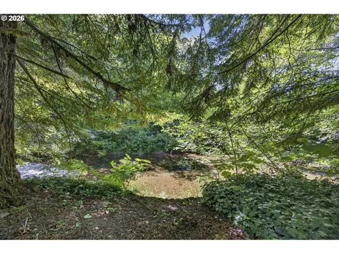 12290 Highway 126 Mapleton OR 97453