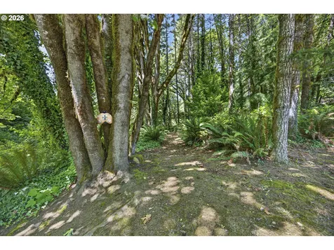 12290 Highway 126 Mapleton OR 97453