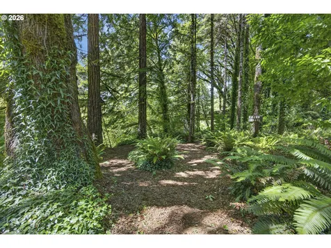 12290 Highway 126 Mapleton OR 97453