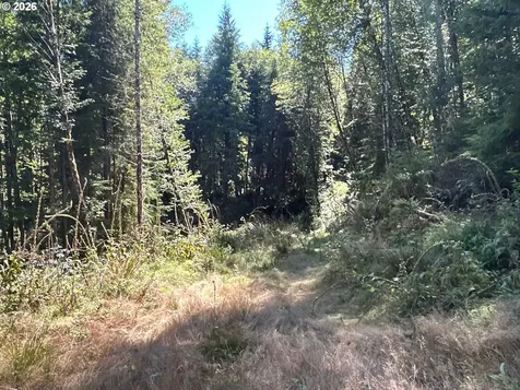 1 Eden Valley Road Rosburg WA 98643