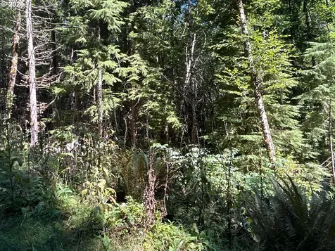 1 Eden Valley Road Rosburg WA 98643