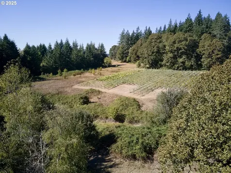 11700 NE 279th Street Battle Ground WA 98604