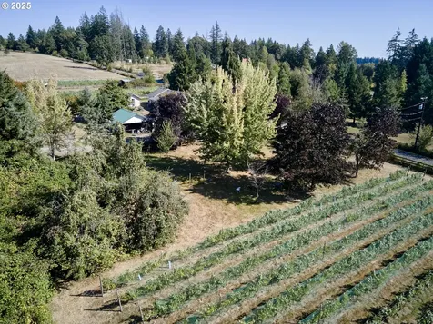 11700 NE 279th Street Battle Ground WA 98604