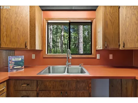 55482 Delta Road Blue River OR 97413