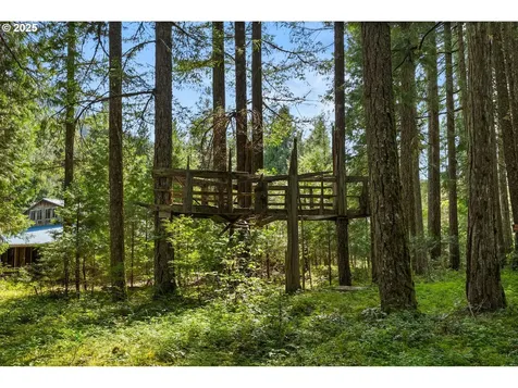 55482 Delta Road Blue River OR 97413