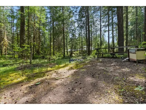 55482 Delta Road Blue River OR 97413