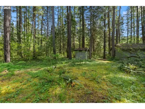 55482 Delta Road Blue River OR 97413