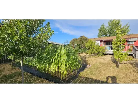 208 NE Darcie Way Myrtle Creek OR 97457