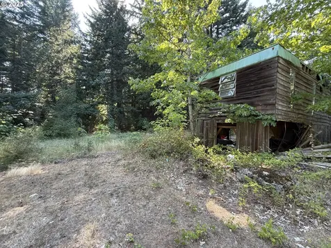 121 Cooke Road White Salmon WA 98672