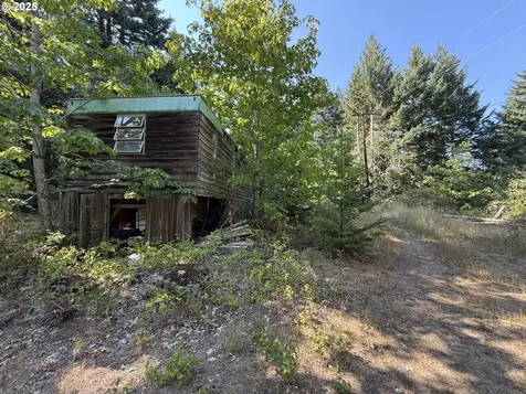 121 Cooke Road White Salmon WA 98672