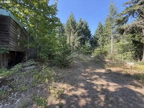 121 Cooke Road White Salmon WA 98672